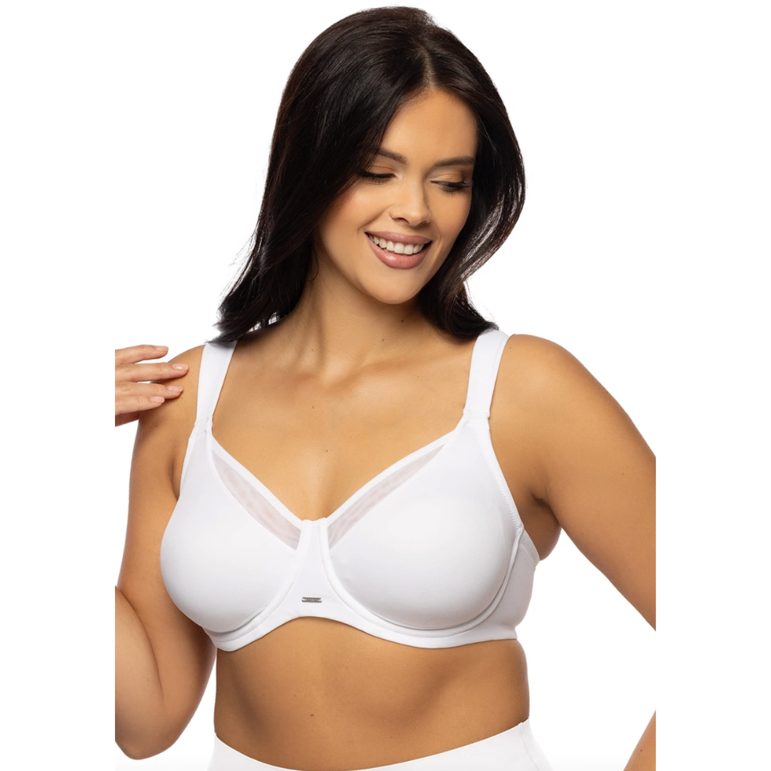 Sostén Minimizer Curves VI241472